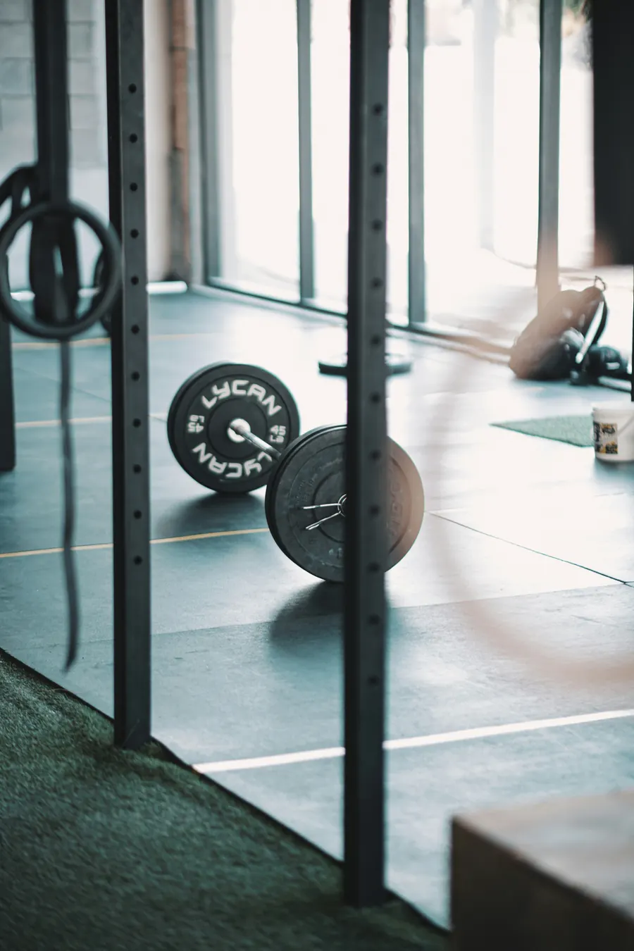 Barbell and plates in warm natural window light